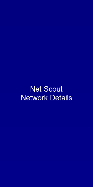 Net Scout Screenshot - Network Details